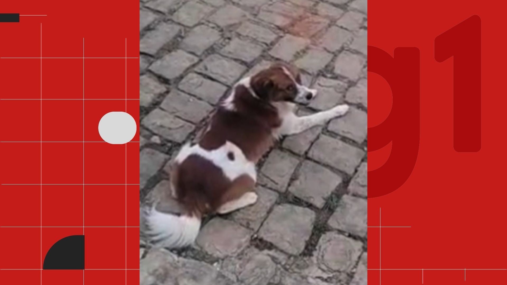 foto Not&iacute;cia Vila Velha